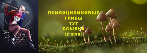 мяу мяу мука Алзамай